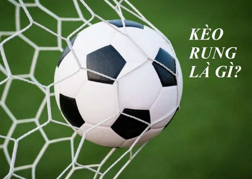 Kèo rung là gì - Khám Phá Thế Giới Đầy Thú Vị Của Cá Cược