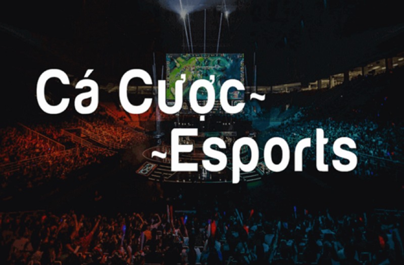 Khám Phá Cá Cược Quyền Thái Tại HitClub – Hành Trình Hấp Dẫn